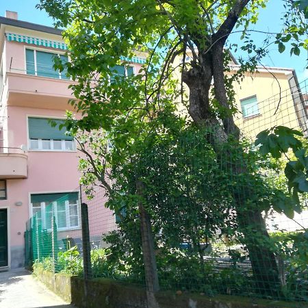 Casa Delle Arance Lejlighed Monterosso al Mare Eksteriør billede